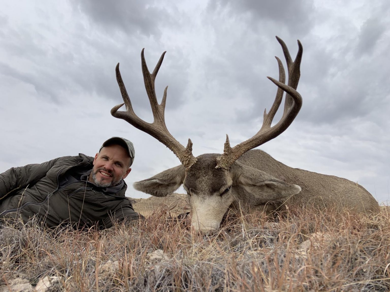 Minimum Score For Pope And Young Mule Deer